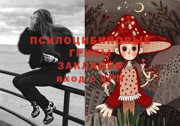 стаф Аркадак
